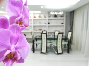 Paradise Apartament